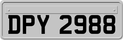 DPY2988