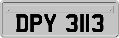 DPY3113