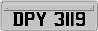 DPY3119