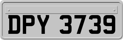 DPY3739