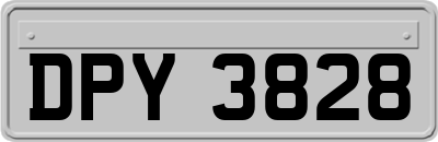 DPY3828