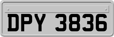 DPY3836