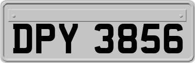 DPY3856