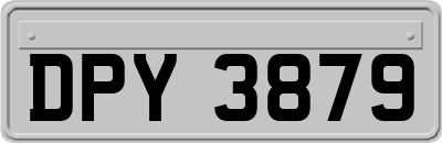DPY3879