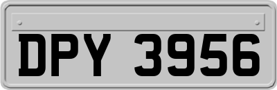 DPY3956