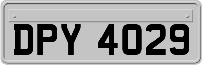 DPY4029