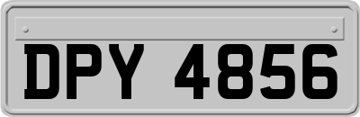 DPY4856