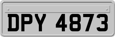DPY4873