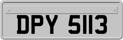 DPY5113