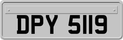 DPY5119
