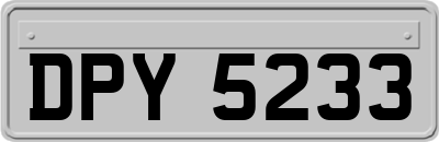 DPY5233