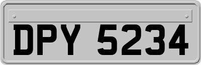 DPY5234