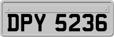 DPY5236