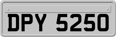 DPY5250