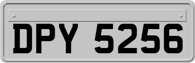 DPY5256