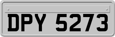 DPY5273