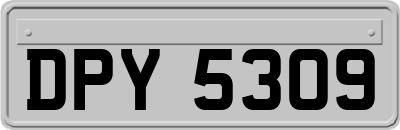 DPY5309