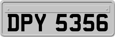 DPY5356