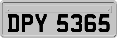 DPY5365