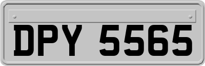 DPY5565