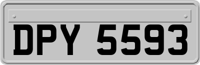 DPY5593