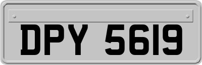 DPY5619