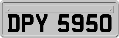 DPY5950