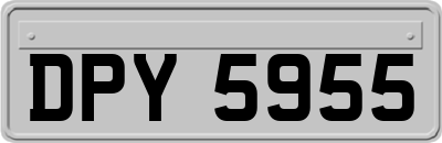 DPY5955