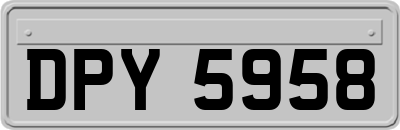 DPY5958