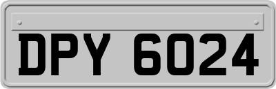 DPY6024