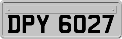 DPY6027