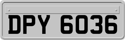 DPY6036