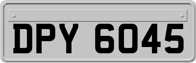 DPY6045