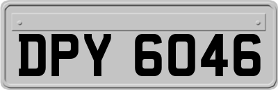 DPY6046