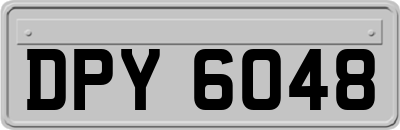 DPY6048