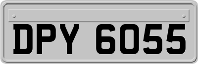 DPY6055