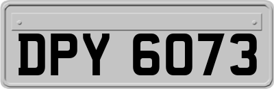 DPY6073