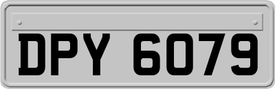 DPY6079
