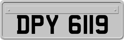 DPY6119