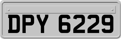 DPY6229