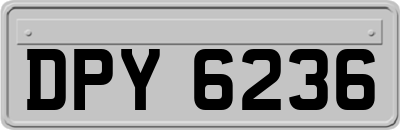 DPY6236