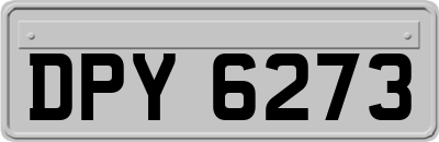 DPY6273