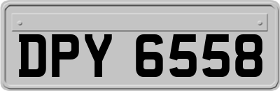 DPY6558