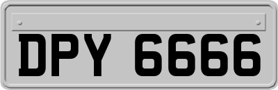 DPY6666