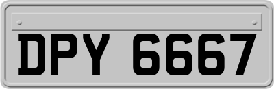 DPY6667