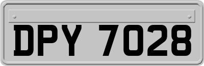 DPY7028
