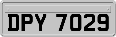DPY7029