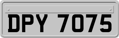 DPY7075