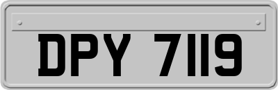 DPY7119
