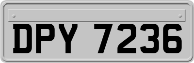 DPY7236